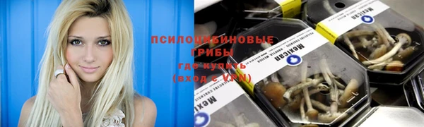 мдпв Абинск