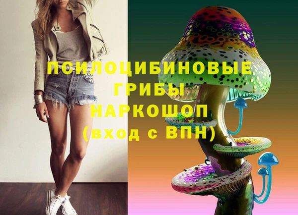 прущий лед Абаза
