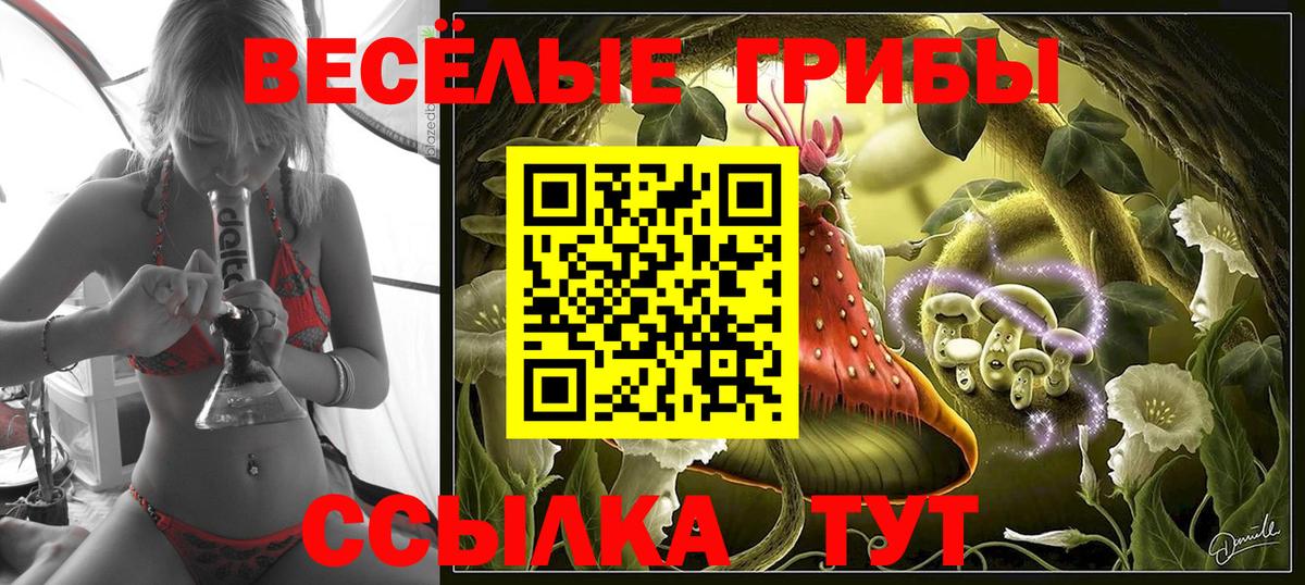 Псилоцибиновые грибы Psilocybine cubensis Красноперекопск