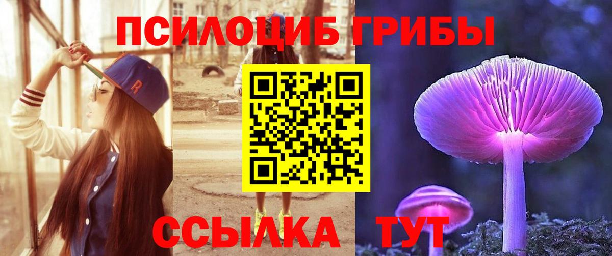 Красноперекопск  Псилоцибиновые грибы GOLDEN TEACHER  Вход с VPN 